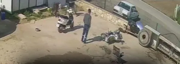 Köpeğe Acımasız Saldırı!