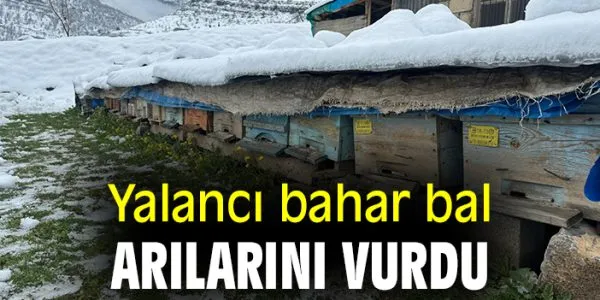 Yalancı Bahar, Arıları Felç Etti!