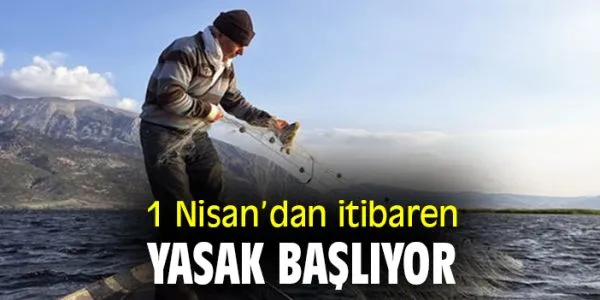 Palamut ve Torik için Av Yasağı Başlıyor