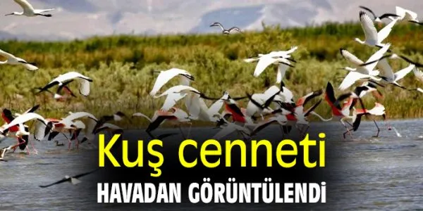 Kuş Cenneti: Sultan Sazlığı’nda 301 Tür Belirlendi
