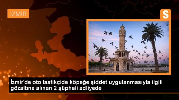 Urla’da köpeğe şiddet skandalı: 2 şüpheliye ceza verildi