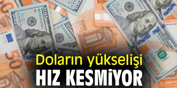 Dolar ve Euro Kaç TL?