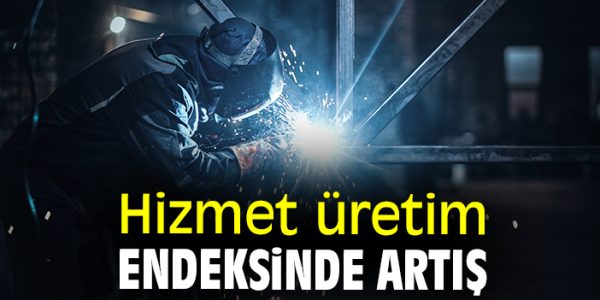 Hizmet Üretim Endeksi Şubatta Yüzde 13,8 Arttı