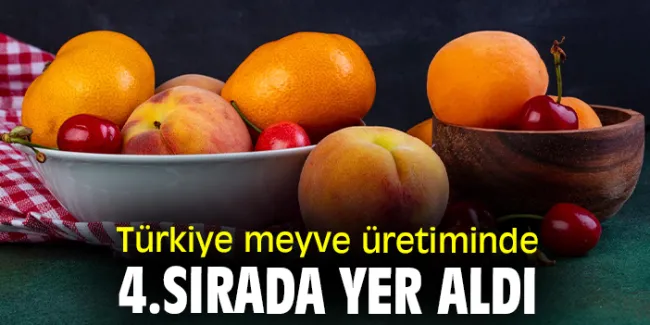 Türkiye Dünyanın Dördüncü Büyük Meyve Üreticisi!