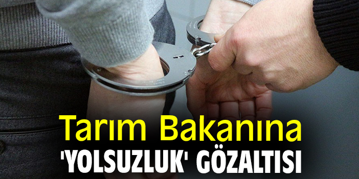 Ukraynalı Bakan Tarım Skandalıyla Gözaltında