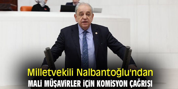Mali Müşavirlerin Sorunları ve Çözüm Önerileri