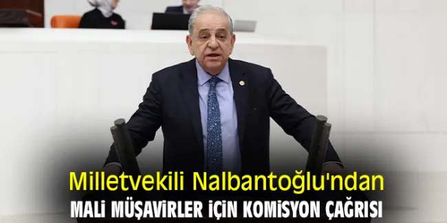 Mali Müşavirlerin Sorunları ve Çözüm Önerileri