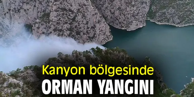 Şahinkaya Kanyonu’nda Yıldırım Düşmesiyle Başlayan Orman Yangını Güçlükle Söndürüldü