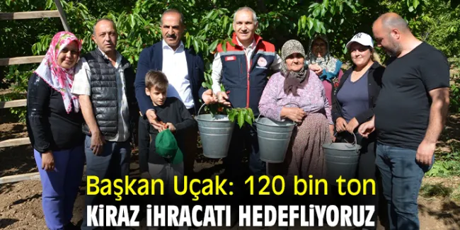 Manisa’da Rekolte ve Kalite Şampiyon Kiraz Sezonu