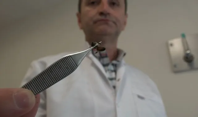 Bursa’da Apiterapi ile Hastalıkların Sonu!