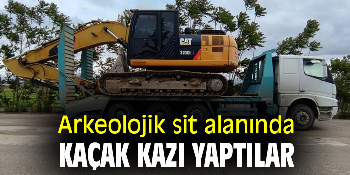 Alpu’da Kaçak Kazı Operasyonu!