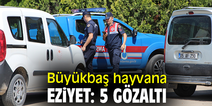 Kral Et Entegre Tesisi’nde yaşanan vahşet!