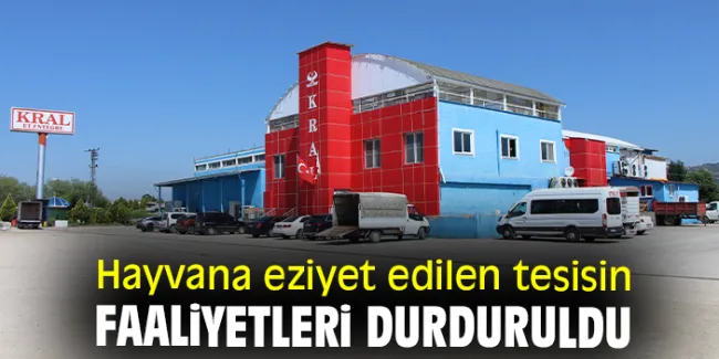 Amasya’da Kral Et Entegre vahşeti: 5 kişi tutuklandı