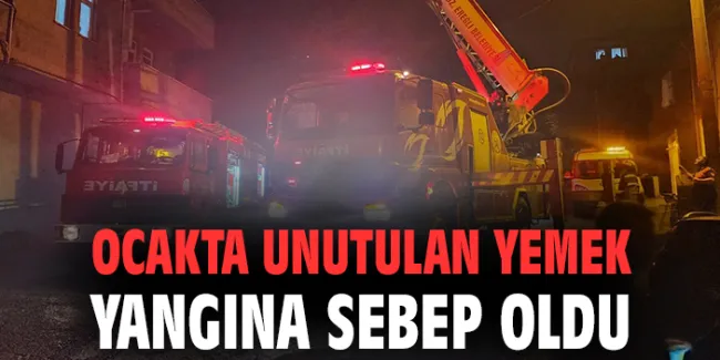 Ev Sahibi A.D. Yemeği Unuttu, Mutfak Alev Aldı!