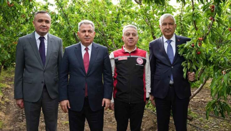 KEMALPAŞA’DA MEVSİMİN İLK KİRAZ HASADI GERÇEKLEŞTİ