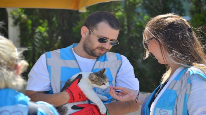 Seferihisar’da Sokak Hayvanları İçin Hayati Proje: Elim Patinde
