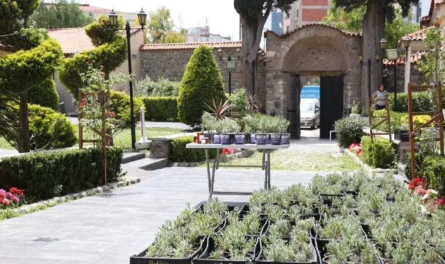 Dünya Arı Günü’nde Bornova’da Lavanta Fidanlarıyla Buluştular