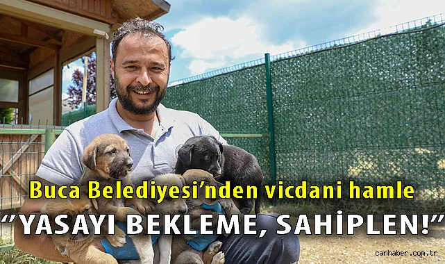 Buca Belediyesi’nden Sokak Hayvanlarına Sıcak Yuvanın Kapıları Aralanıyor!