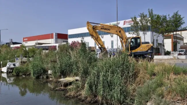 Çiğli Belediyesi Kaçak Barınak Ve İskeleleri Yıktı