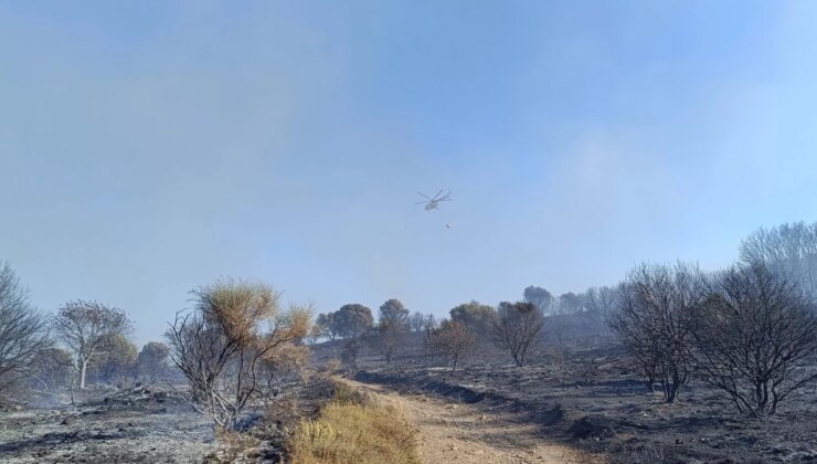 Foça’da Makilik ve Zeytinlik Yangını Kontrol Altına Alındı