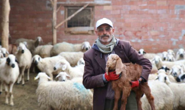 Aydın Battalın Dolandırıcılara Sitemi