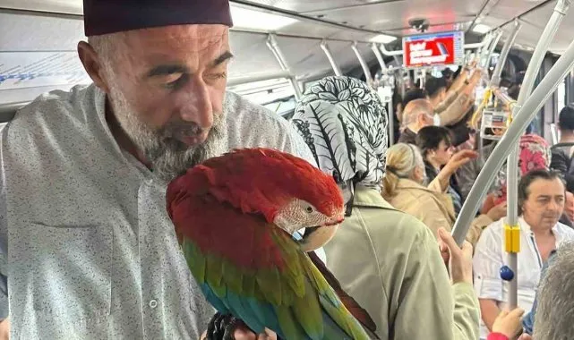 Seçimlerden Metrobüse: Papağanıyla Yolculuk!