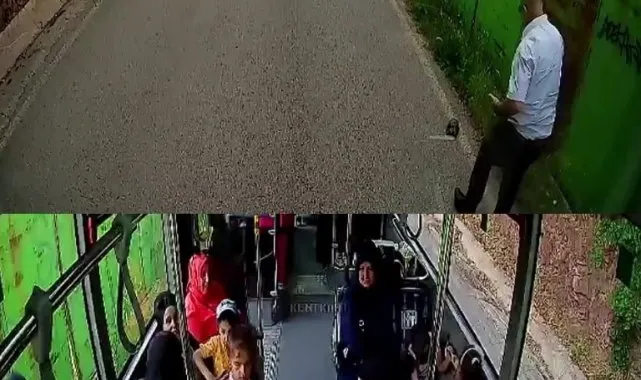 Şoförden İnsanlık Dersi: Kaplumbağa için Durdu!