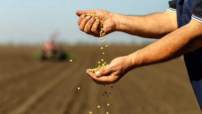 Ege İhracatçılar Samsun’u Keşfetti – Tarımda Büyük Hedefler!