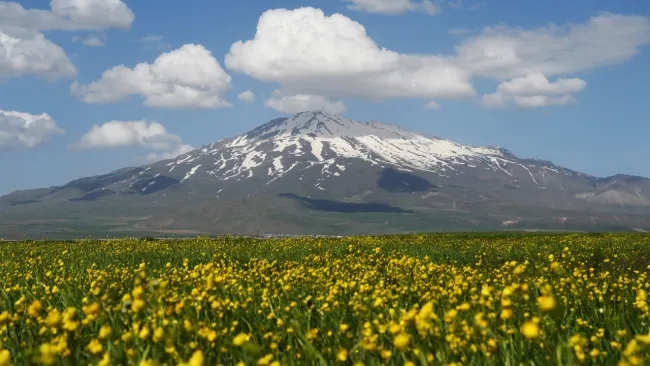 Muhteşem Doğa Güzelliği: Süphan Dağı ve Sütey Yaylası