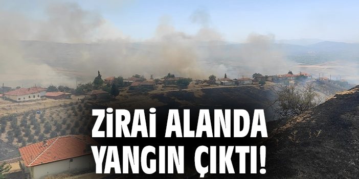 İsmailbey Mahallesinde Zirai Alanda Çıkan Yangın Kontrol Altında