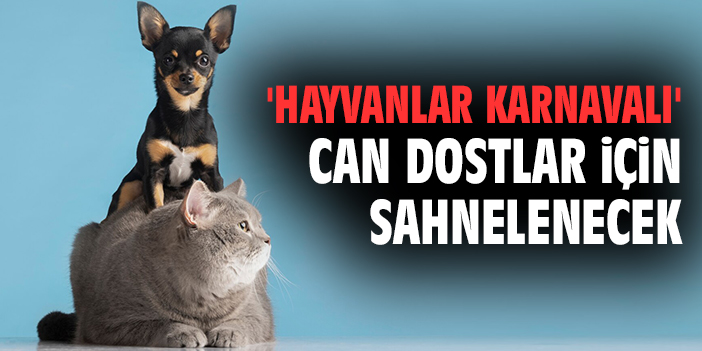 Angels Farm’a Destek: Hayvanlar Karnavalı Konseri