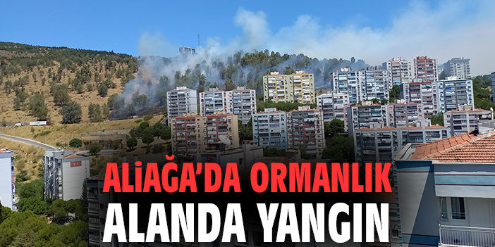 İzmir’de Orman Yangını Kontrol Altında!