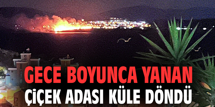 Çiçek Adası’nda İhbar Üzerine Söndürülen Yangın – Tavşanın Kaçışı