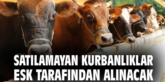 Kurbanlık Hayvanlar ESK Tarafından Satın Alınıyor