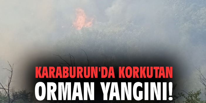 Karaburun’da Makilik Alanda Yangın Çıktı!