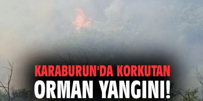 Karaburun’da Makilik Alanda Yangın Çıktı!