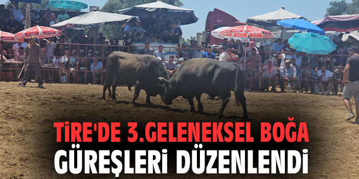 Tire’de Geleneksel Boğa Güreşleri ve Kültürel Zenginlikler