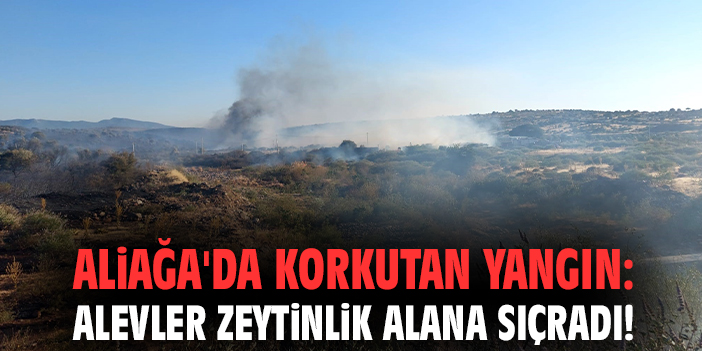 Sakran Mahallesinde Orman Yangını!