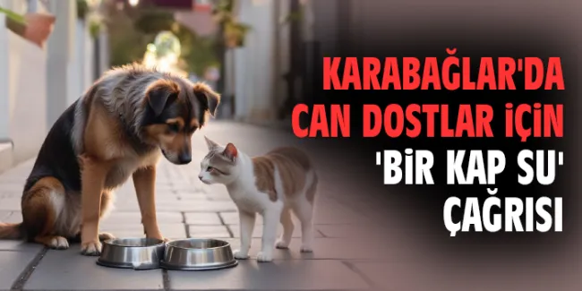 Sıcaklar Sokak Hayvanlarını Zorluyor, Karabağlar Belediyesi’den Destek Çağrısı!