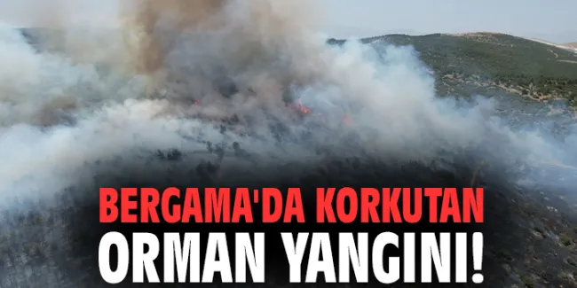 Orman Yangını İzmir’de! Ekipler Müdahale Ediyor