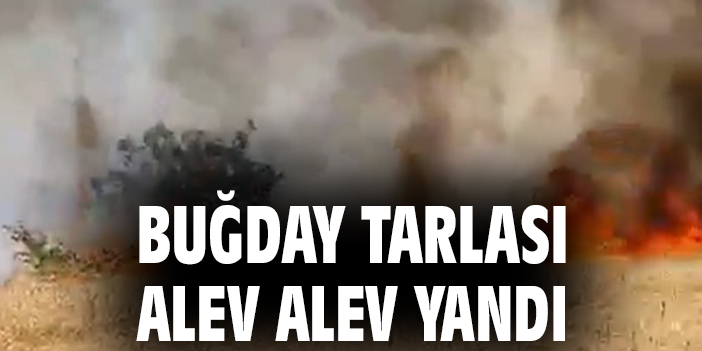 Edirne’de Buğday Tarlasında Yangın – Hacıdanişment Köyü