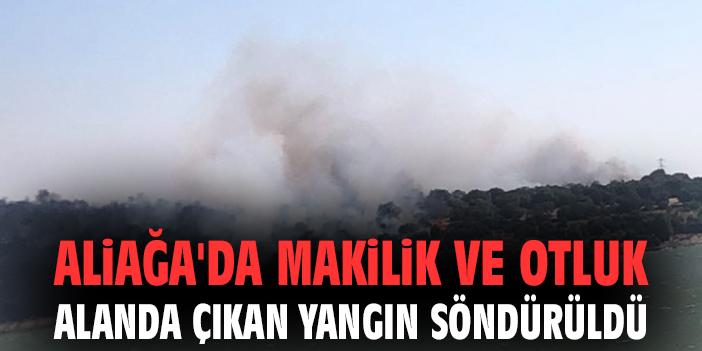 Sakran Ceza’da Hızla Yayılan Yangına Ekipler Anında Müdahale Etti