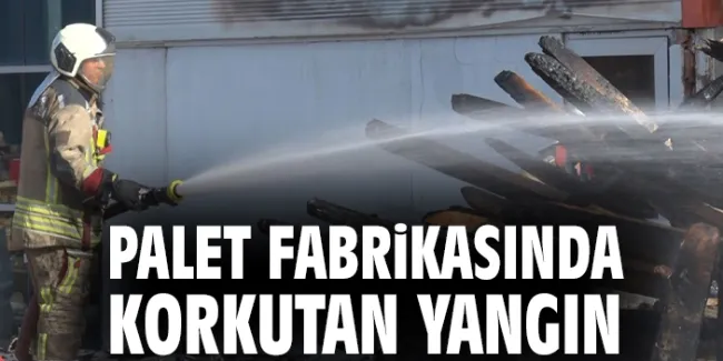Yangın Temelli’de Palet Fabrikasında!
