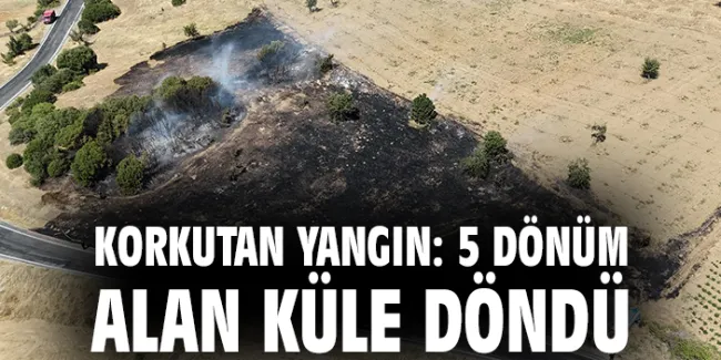 Kula’da Korkutan Yangın Kontrol Altında