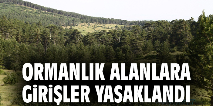 Ormanlara Giriş Yasaklandı!
