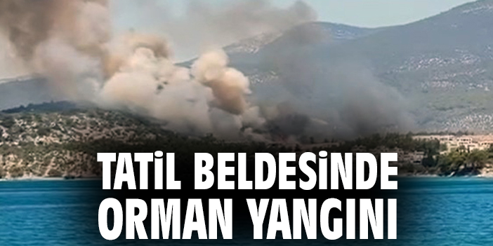 Milas’ta Çıkan Orman Yangınına Hızlı Müdahale!