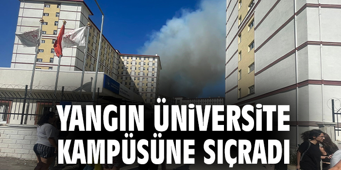 Uludağ Üniversitesi’ndeki Orman Yangınına Havadan ve Karadan Müdahale