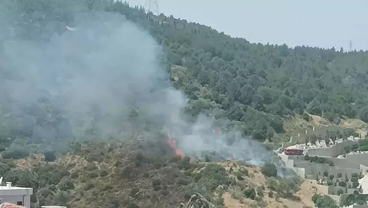 İzmir’de Orman Yangınına Havadan ve Karadan Müdahale Başladı