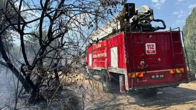 Bergama’da Orman Yangını: Ekipler Müdahale Ediyor