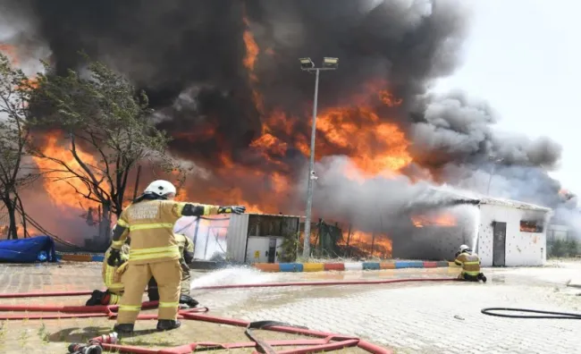 Sokak hayvanlarını koruyan depolar alev aldı!